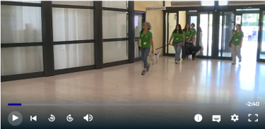 Azienda ospedaliera di perugia, pet therapy cani oncologia
